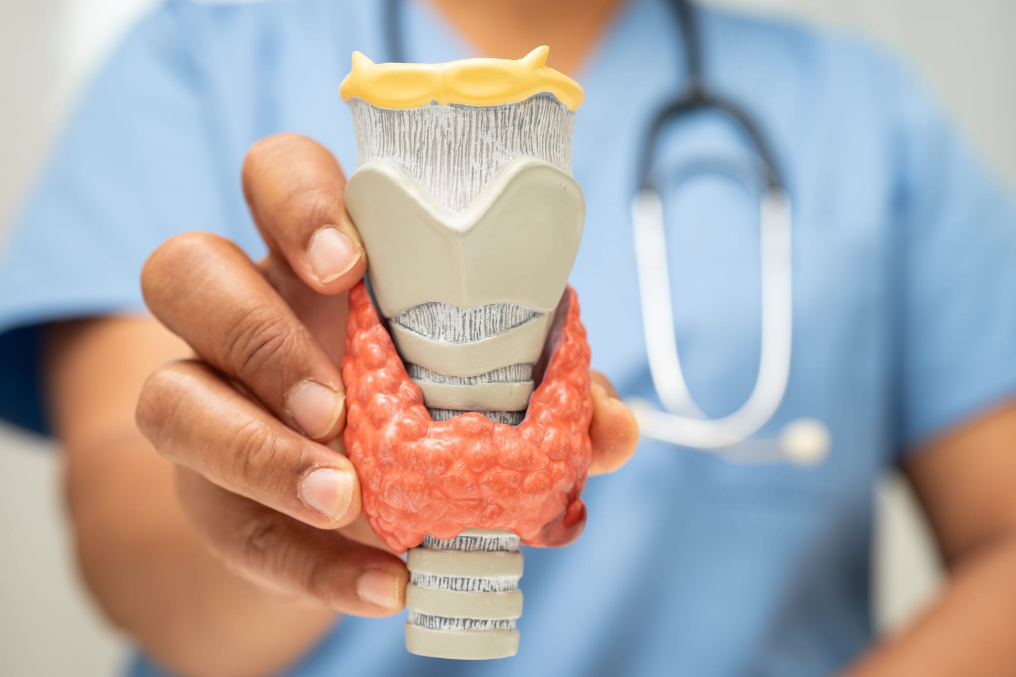 Exame tireoglobulina: entenda para que serve e quando pode ser solicitado!